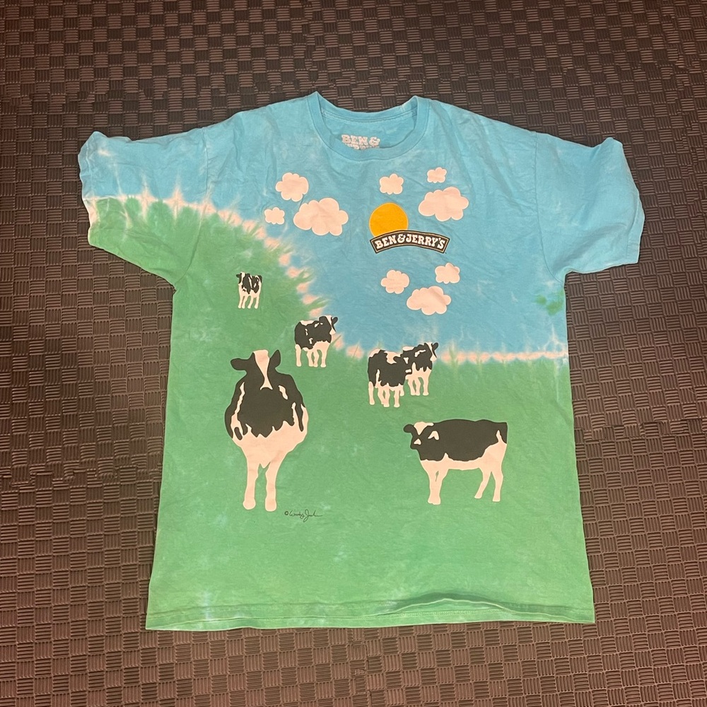 Vintage Ben & Jerry’s ice cream shirt in 2XL